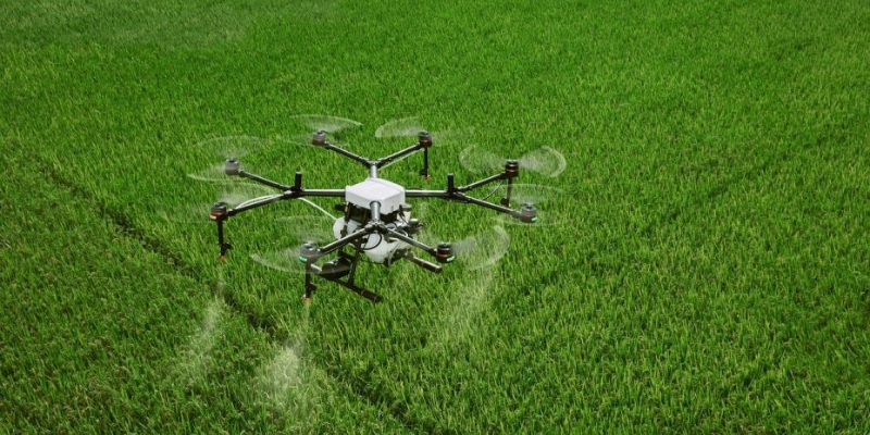 Inovação agrícola